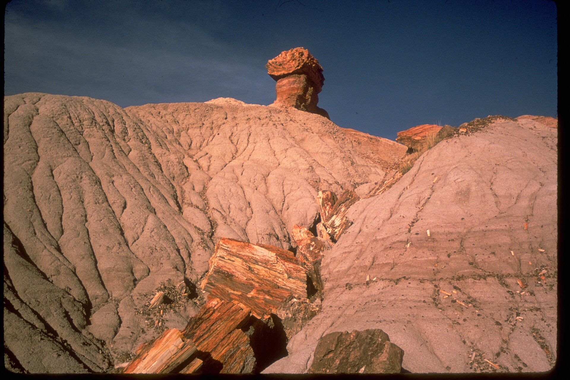 Scenic landscape at Petrified Forest National Park near Holbrook, Arizona