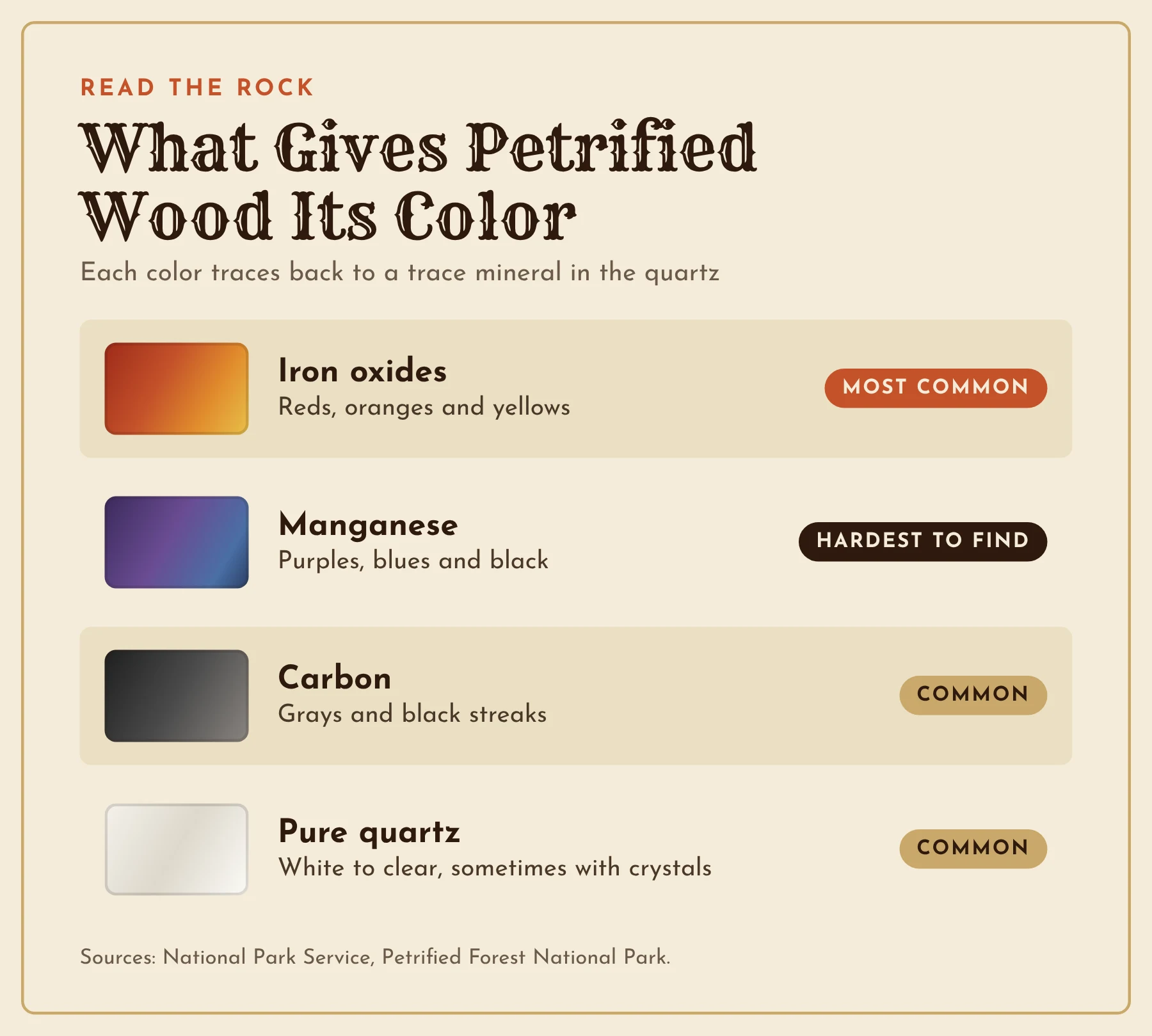 Arizona petrified wood colors and the minerals behind them, with iron oxides for reds and yellows, manganese for purples and blues, carbon for gray and black and quartz for white